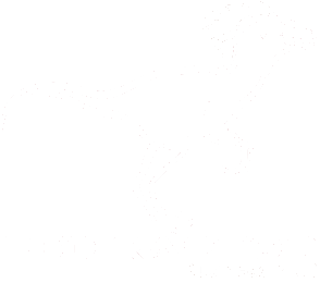 RED RAPTOR Business PLUS Logo